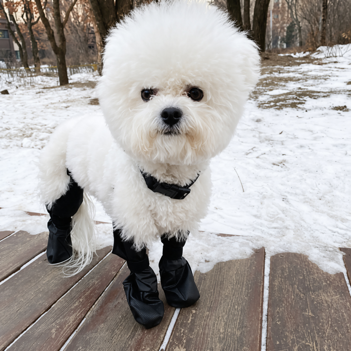 TreadPup™ All-Terrain 4-Leg Dog Boot & Support Set